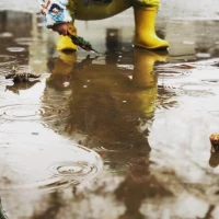 Flood Damage Cleaning 1